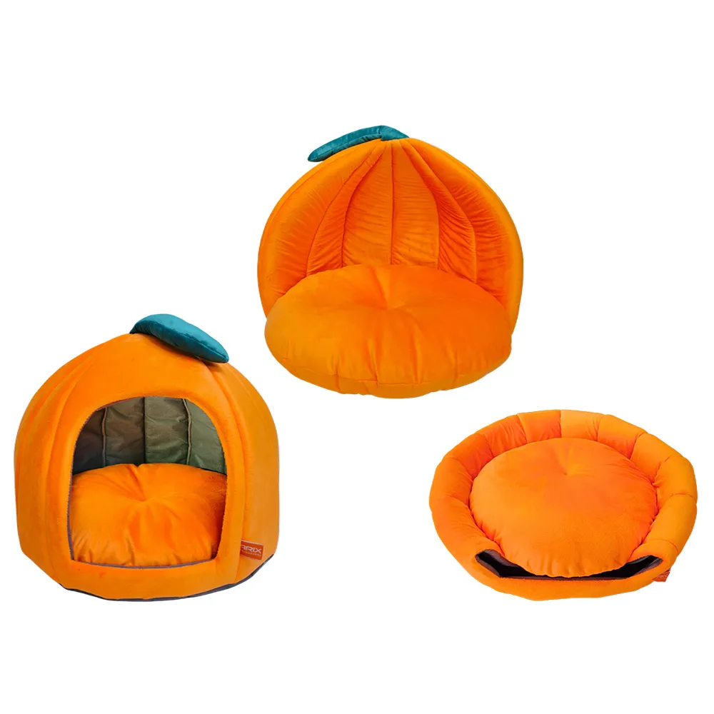 کلبه طرح کدو زاریکس